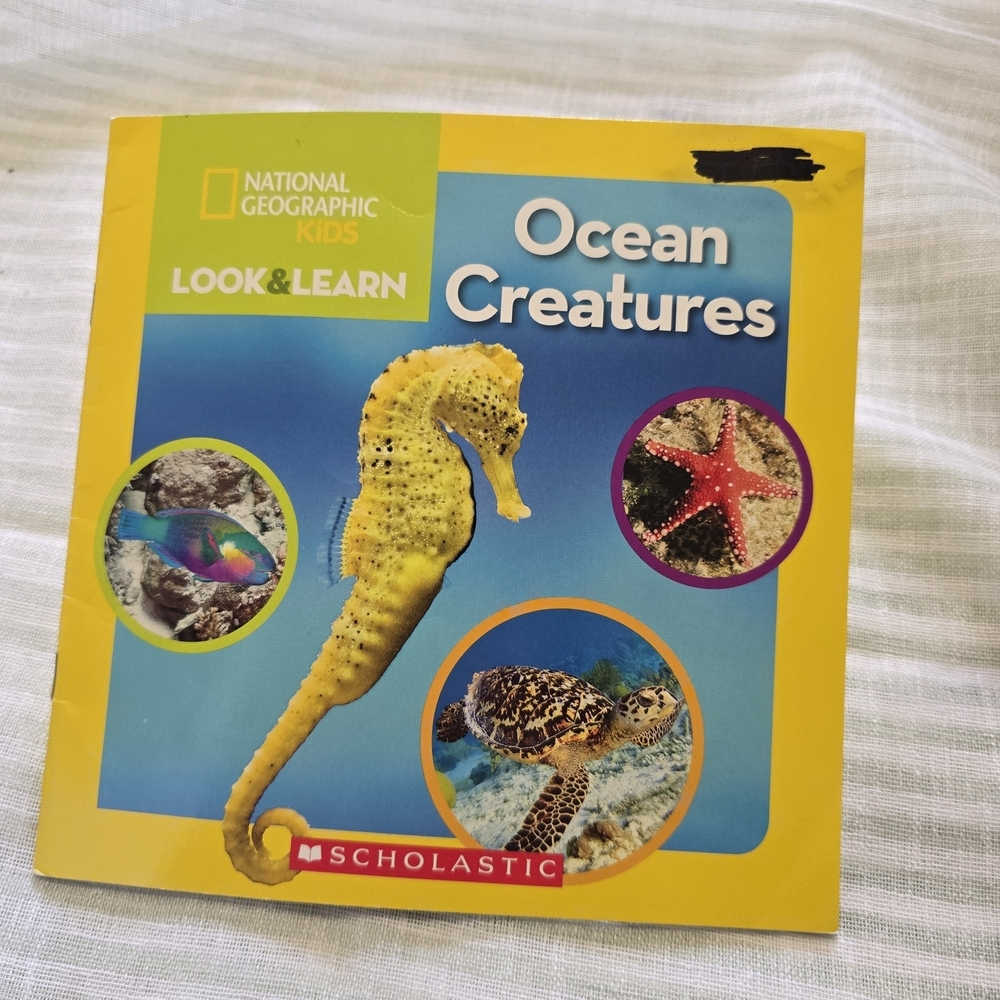 National Geographic Ocean Creatures - Yellow Cover